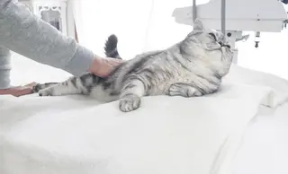 大阪・感覚から整う 体質改善サロンのエステ・リラクイメージ