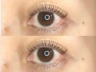 マツエク・マツパ 《eyelash ｉｉｔｅ》森のマツエク・マツパデザイン