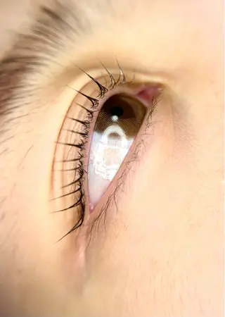 マツエク・マツパ Lash Lift ＷAＶＥ所属・Lash Lift WAVE🩵の眉毛・アイブロウイメージ