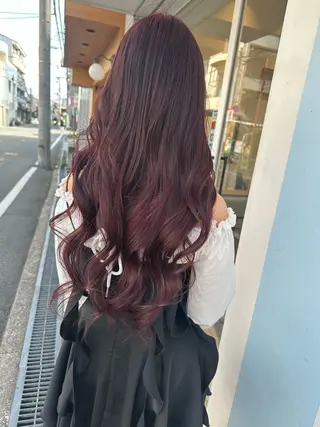 ロング カラー 若山 敦のヘアスタイル