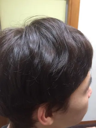 ショート カラー 向井 優汰のヘアスタイル