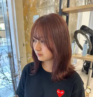 セミロング カラー ショート/ボブカット /emiriのヘアスタイル