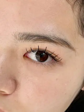 マツエク・マツパ eyeHbe TERAのマツエク・マツパデザイン