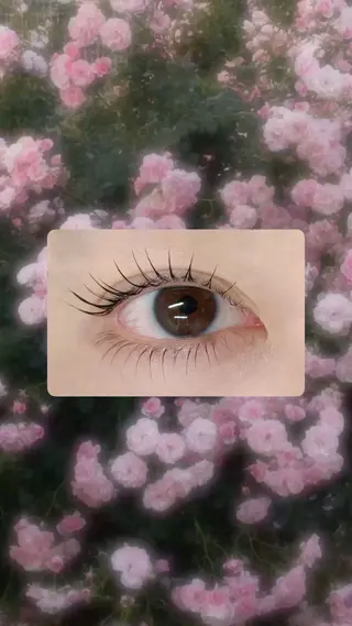 マツエク・マツパ Ai / Limier 金沢店のマツエク・マツパデザイン