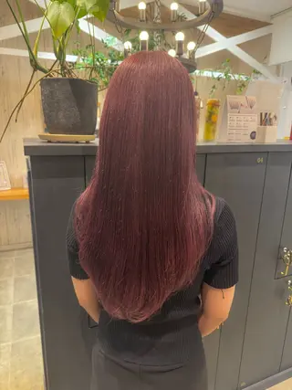 ロング カラー 葵/レイヤーカット/ 韓国風/透明感カラーのヘアスタイル