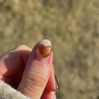 ネイル tenoteno nail/yuuriのネイルデザイン