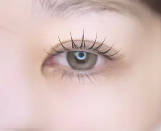 マツエク・マツパ 🎀eyelist. mizuki🐈‍⬛の眉毛・アイブロウイメージ