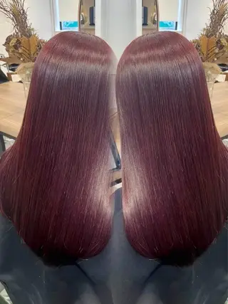 セミロング 💎艶髪／美髪特化 世麗💎のヘアスタイル