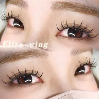 マツエク・マツパ Elira wingのマツエク・マツパデザイン