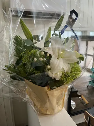 紙屋 隼人のヘアスタイル