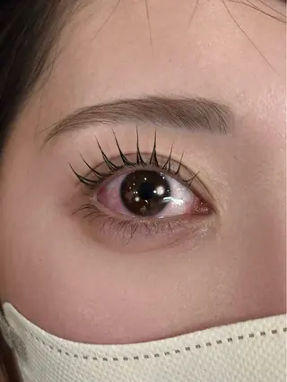 マツエク・マツパ 🐈EYELA Saiki🐱の眉毛・アイブロウイメージ