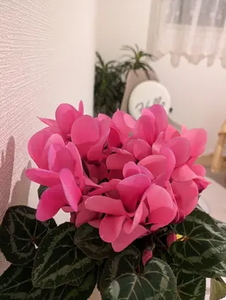 じむら まゆみのエステ・リラクイメージ