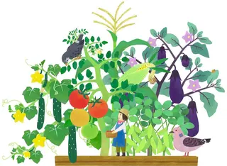 ショート カラー パーマ ヘアアレンジ メンズ キッズ ネイル マツエク・マツパ アイブロウ Chloe-クロエ- 脱毛/フェイシャルのエステ・リラクイメージ