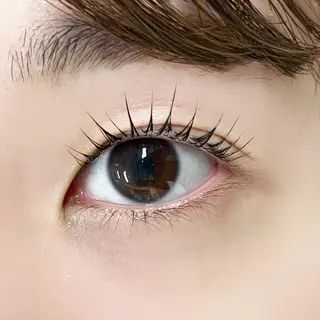 マツエク・マツパ R🌹 ⁺⊹˚.のマツエク・マツパデザイン