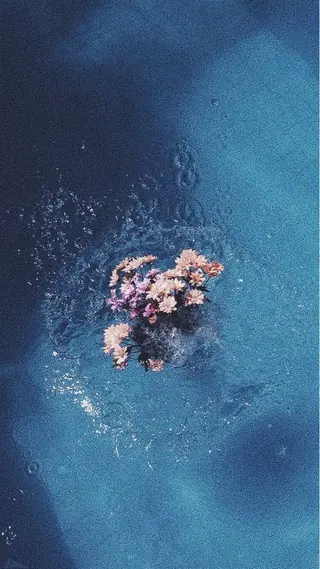 マツエク・マツパ ひなの 🌼のマツエク・マツパデザイン