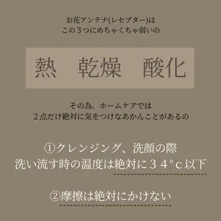 lymph care 'Welnəsのエステ・リラクイメージ