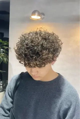 ショート カラー パーマ 福井祥太／海外風 /プードルパーマのヘアスタイル