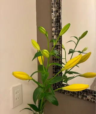 フェイシャルサロン ビアンカガーデンのエステ・リラクイメージ