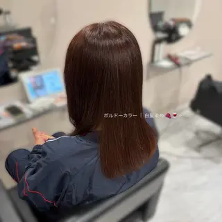 セミロング カラー 透明感カラー🪼🩵 𝐑𝐢𝐧のヘアスタイル