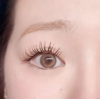 マツエク・マツパ アイラッシュ コペル【Copel】所属・個室サロンcopel 　kishimotoのマツエク・マツパデザイン