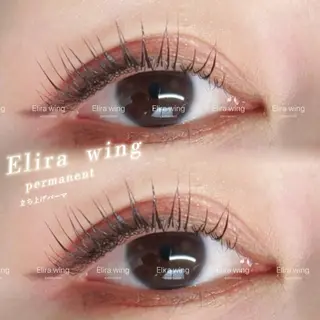 マツエク・マツパ Elira wingのマツエク・マツパデザイン