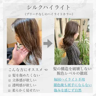 セミロング カラー アオガミ （前髪顔周りカット）のヘアスタイル