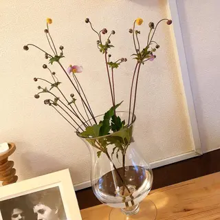 マツエク・マツパ なかむら 🪡のマツエク・マツパデザイン