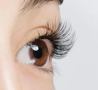 マツエク・マツパ Camel 🐫のマツエク・マツパデザイン