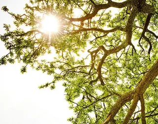 プライベートサロン a.b.f.dのネイルデザイン