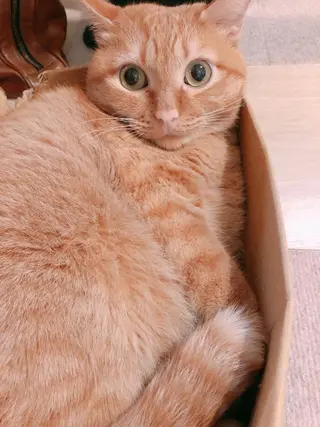 kiki nail &brow二子玉川の眉毛・アイブロウイメージ