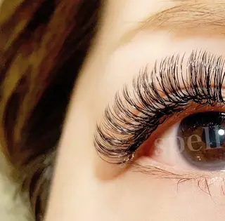 マツエク・マツパ spell eyelashのマツエク・マツパデザイン