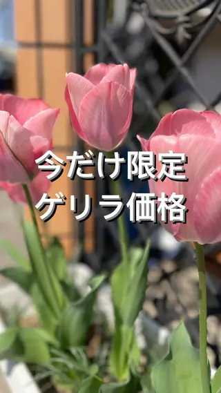 ネイル nail salon alivioのネイルデザイン