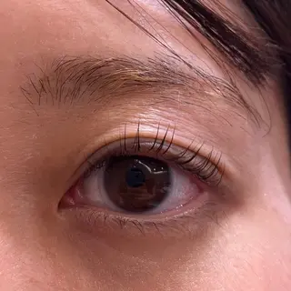 マツエク・マツパ ドーリーラッシュ 松尾のマツエク・マツパデザイン