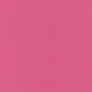 カラー 石川 菜摘のヘアスタイル