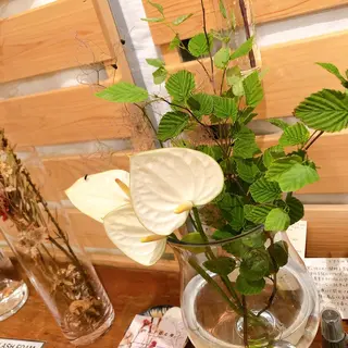 マツエク・マツパ なかむら 🪡のマツエク・マツパデザイン