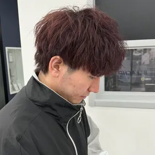 ショート カラー メンズ 🔥札幌No.1🥇 パーマ特化美容師🔥のヘアスタイル