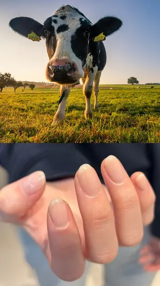 ネイル nutt momoのネイルデザイン