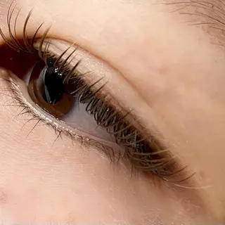 マツエク・マツパ Lily (リリー) 🔰下坂のマツエク・マツパデザイン