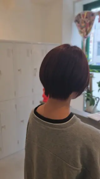 ショート カラー 縮毛矯正をしている人 のためのカラーのヘアスタイル
