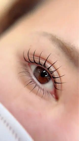 マツエク・マツパ Maile leaf 【マイレリーフ】のマツエク・マツパデザイン