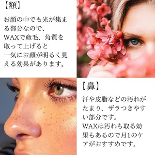 アイブロウ 🦋HARU・ EYEBROW🦋の眉毛・アイブロウイメージ