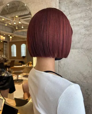 ショート カラー ブリーチなし 透明感カラー/艶髪のヘアスタイル