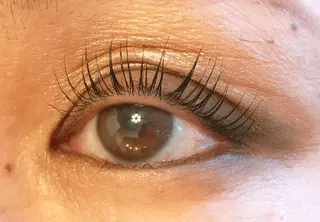 マツエク・マツパ tia belのマツエク・マツパデザイン