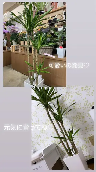 ネイル nail salon REのネイルデザイン