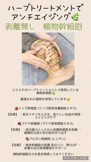 メンズ ビューティーサロン シエスタのエステ・リラクイメージ