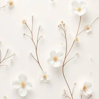 マツエク・マツパ マツパ🦋 keikoのマツエク・マツパデザイン