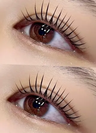 マツエク・マツパ Lupines 🐰ᩚのマツエク・マツパデザイン