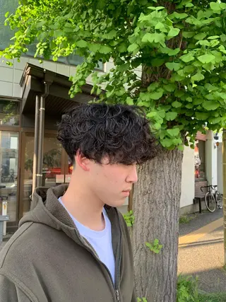 パーマ メンズ 宮嶋 勇輔のヘアスタイル
