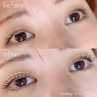 マツエク・マツパ シードリン 府内店 小野梨央のマツエク・マツパデザイン