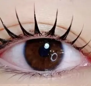 マツエク・マツパ 三浦  由美のマツエク・マツパデザイン